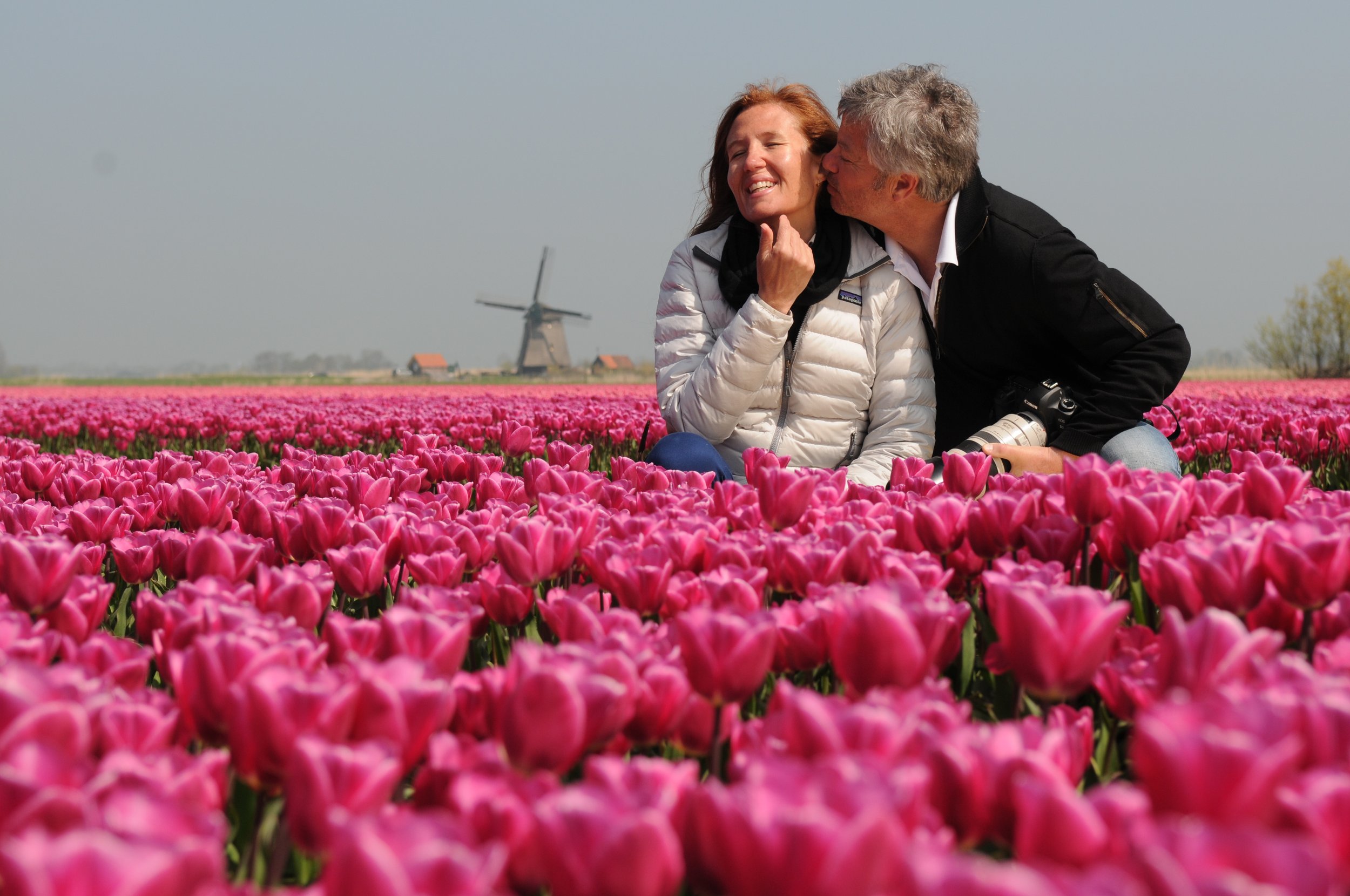 Tulips in the Netherlands - Private Tours in Amsterdam, The